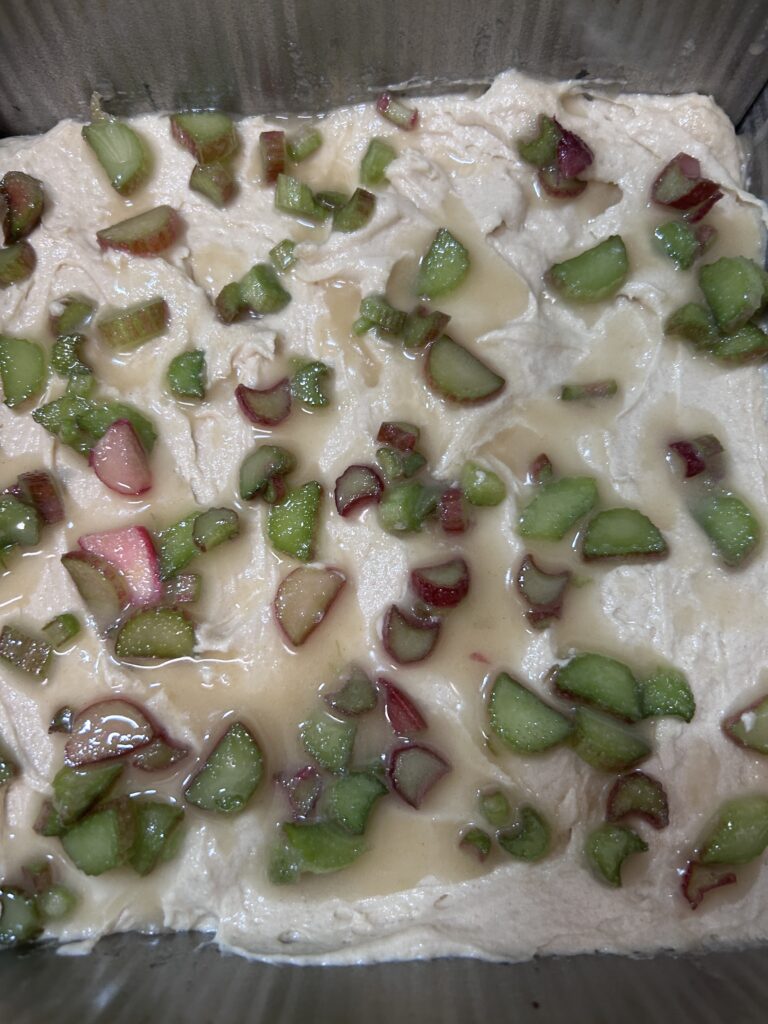 cake batter in a a square baking pan topped with rhubarb slices.